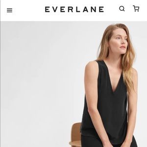 Everlane silk v neck